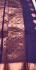 POWERLOOM BIG BUTTA SAREE